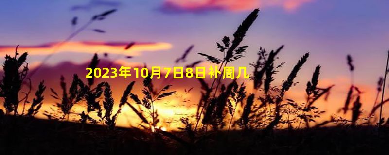 2023年10月7日8日补周几的课