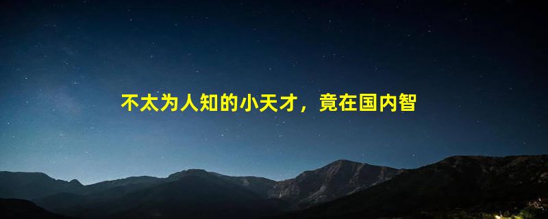 不太为人知的小天才，竟在国内智能手表里排第二！怎么做到的？