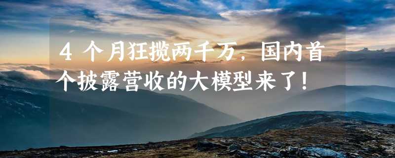 4个月狂揽两千万，国内首个披露营收的大模型来了！