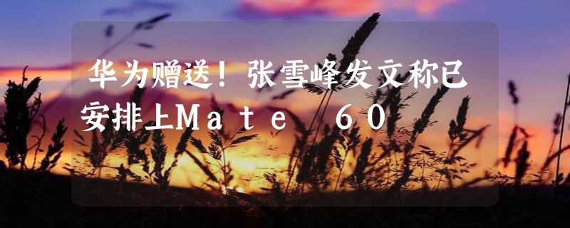 华为赠送！张雪峰发文称已安排上Mate 60