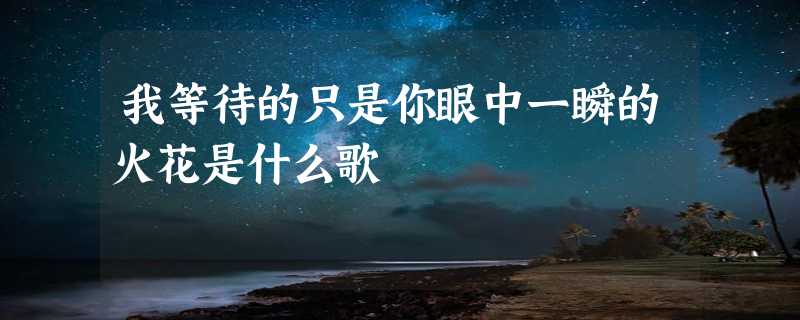 我等待的只是你眼中一瞬的火花是什么歌