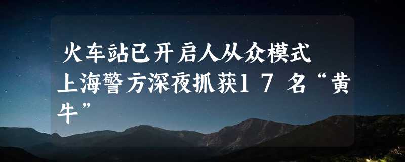 火车站已开启人从众模式 上海警方深夜抓获17名“黄牛”