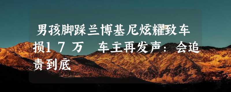 男孩脚踩兰博基尼炫耀致车损17万 车主再发声：会追责到底