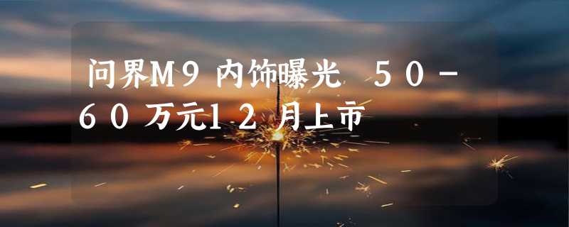 问界M9内饰曝光 50-60万元12月上市