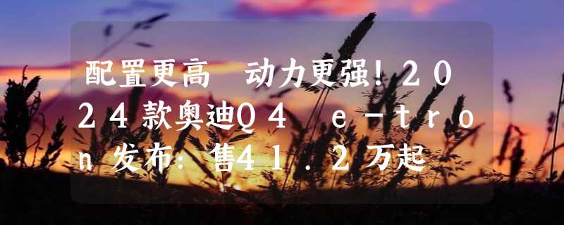 配置更高 动力更强！2024款奥迪Q4 e-tron发布：售41.2万起