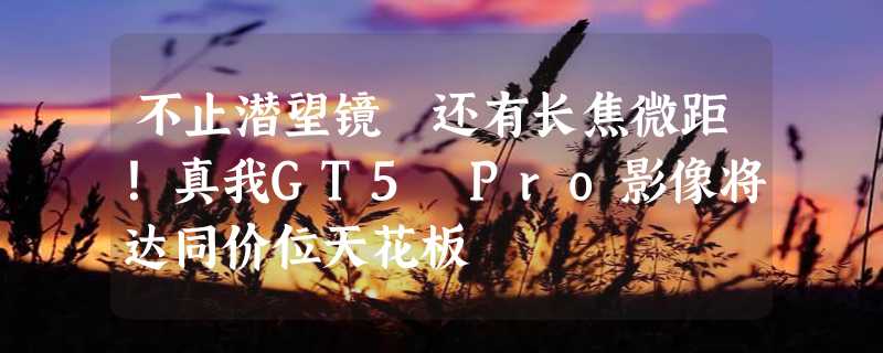 不止潜望镜 还有长焦微距！真我GT5 Pro影像将达同价位天花板