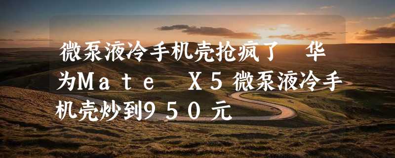 微泵液冷手机壳抢疯了 华为Mate X5微泵液冷手机壳炒到950元