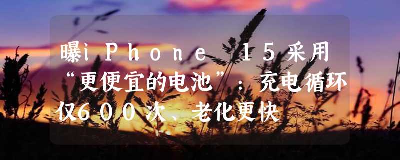 曝iPhone 15采用“更便宜的电池”：充电循环仅600次、老化更快