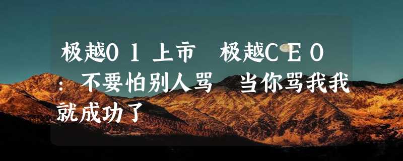 极越01上市 极越CEO：不要怕别人骂 当你骂我我就成功了