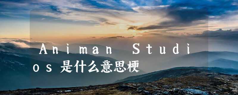 Animan Studios是什么意思梗