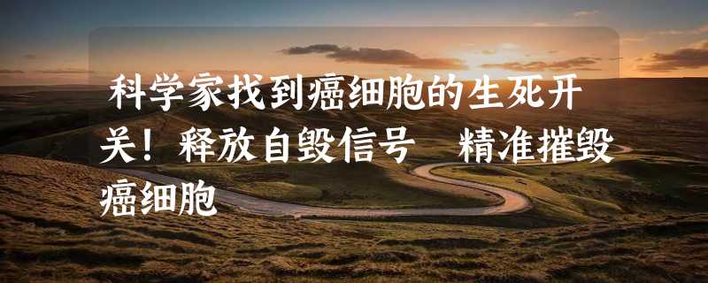 科学家找到癌细胞的生死开关！释放自毁信号 精准摧毁癌细胞