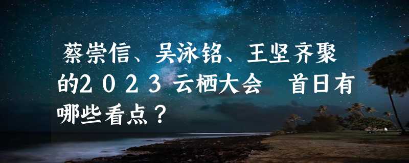 蔡崇信、吴泳铭、王坚齐聚的2023云栖大会 首日有哪些看点？