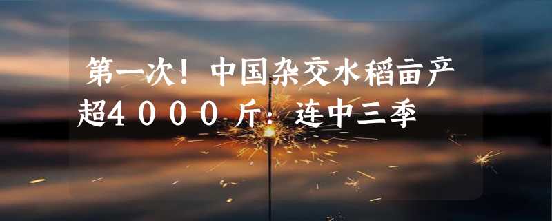 第一次！中国杂交水稻亩产超4000斤：连中三季