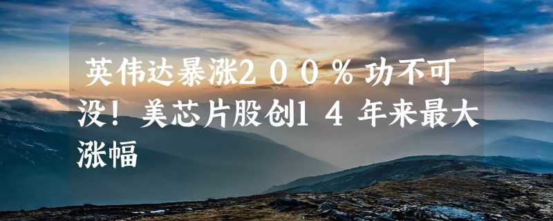 英伟达暴涨200%功不可没！美芯片股创14年来最大涨幅