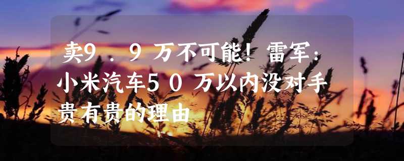 卖9.9万不可能！雷军：小米汽车50万以内没对手 贵有贵的理由