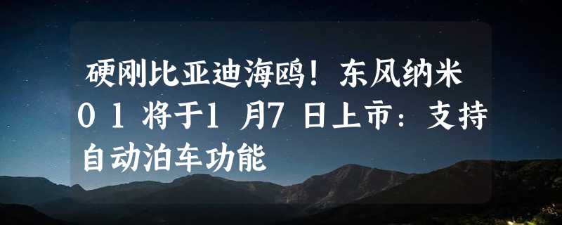 硬刚比亚迪海鸥！东风纳米01将于1月7日上市：支持自动泊车功能