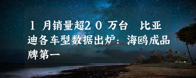 1月销量超20万台 比亚迪各车型数据出炉：海鸥成品牌第一