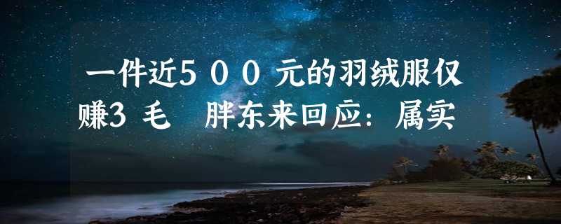 一件近500元的羽绒服仅赚3毛 胖东来回应：属实