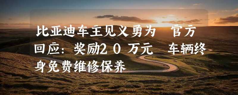 比亚迪车主见义勇为 官方回应：奖励20万元 车辆终身免费维修保养