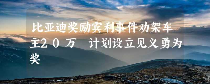 比亚迪奖励宾利事件劝架车主20万 计划设立见义勇为奖