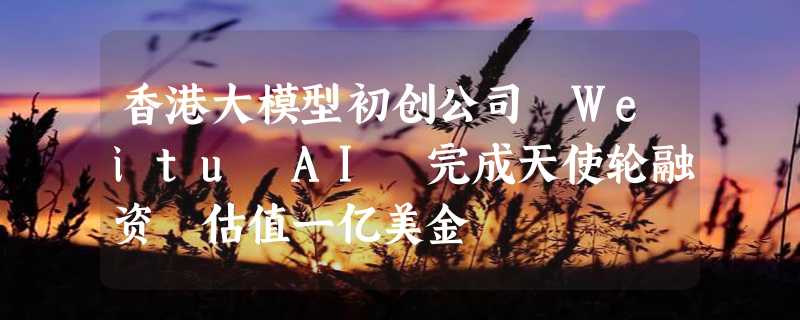 香港大模型初创公司 Weitu AI 完成天使轮融资 估值一亿美金