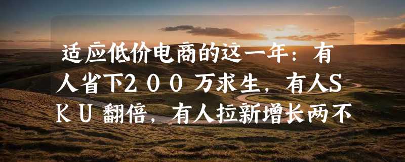 适应低价电商的这一年：有人省下200万求生，有人SKU翻倍，有人拉新增长两不误