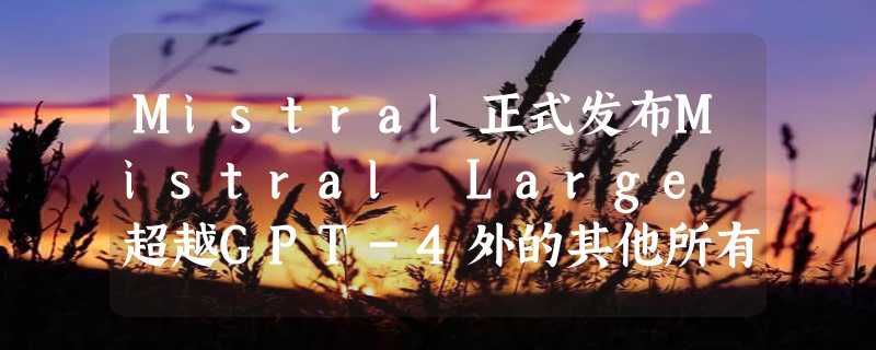 Mistral正式发布Mistral Large 超越GPT-4外的其他所有模型