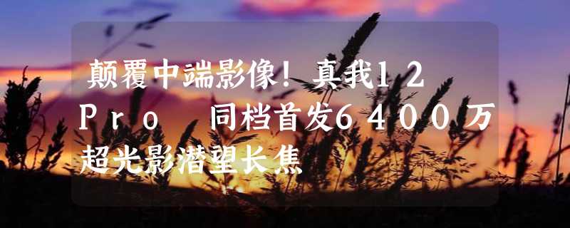 颠覆中端影像！真我12 Pro 同档首发6400万超光影潜望长焦