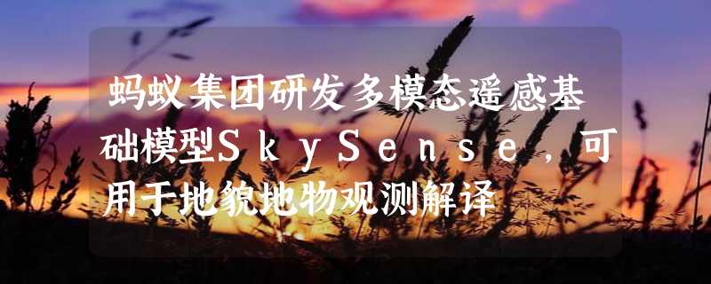 蚂蚁集团研发多模态遥感基础模型SkySense，可用于地貌地物观测解译