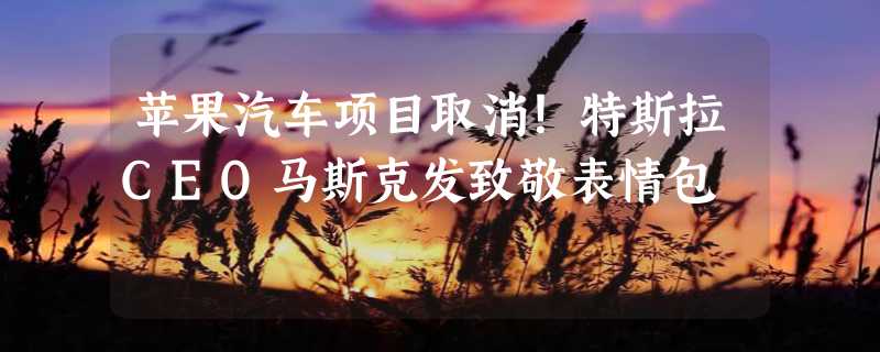 苹果汽车项目取消！特斯拉CEO马斯克发致敬表情包