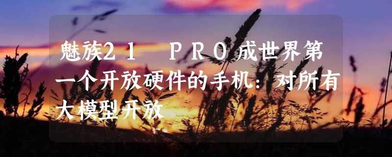 魅族21 PRO成世界第一个开放硬件的手机：对所有大模型开放