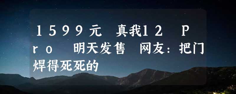 1599元 真我12 Pro 明天发售 网友：把门焊得死死的