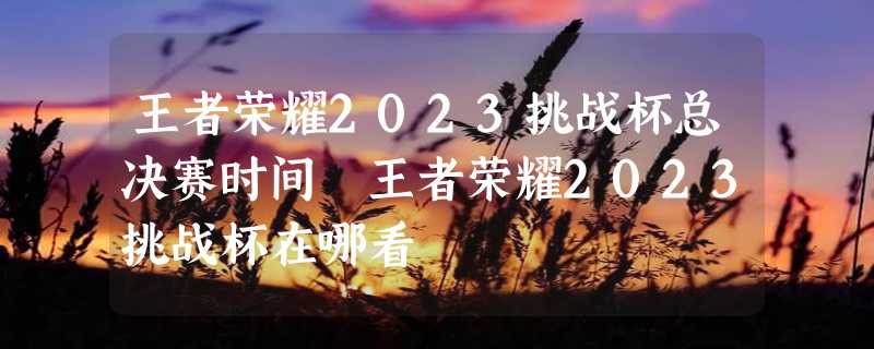 王者荣耀2023挑战杯总决赛时间 王者荣耀2023挑战杯在哪看