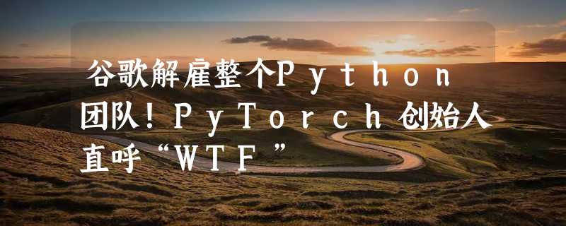 谷歌解雇整个Python团队！PyTorch创始人直呼“WTF”