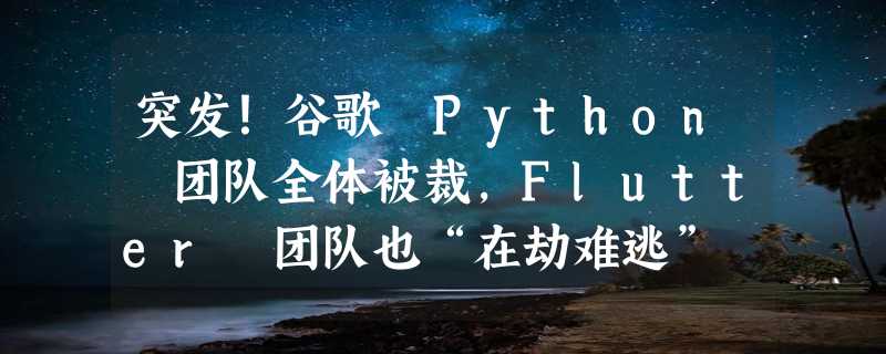 突发！谷歌 Python 团队全体被裁，Flutter 团队也“在劫难逃”