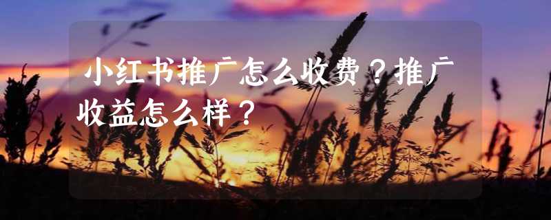 小红书推广怎么收费？推广收益怎么样？