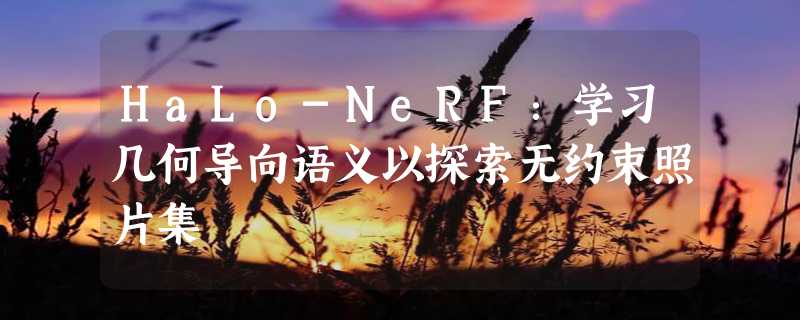 HaLo-NeRF：学习几何导向语义以探索无约束照片集