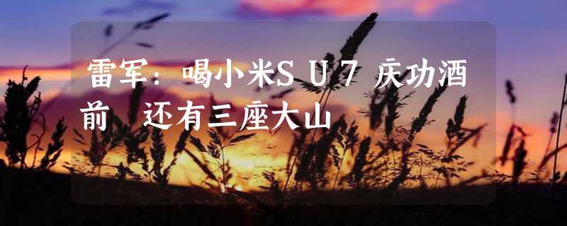 雷军：喝小米SU7庆功酒前 还有三座大山