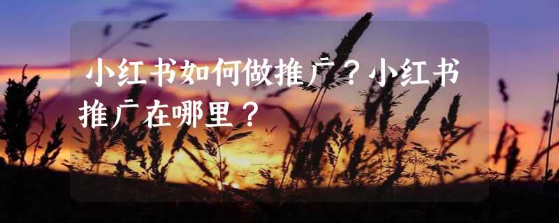 小红书如何做推广？小红书推广在哪里？