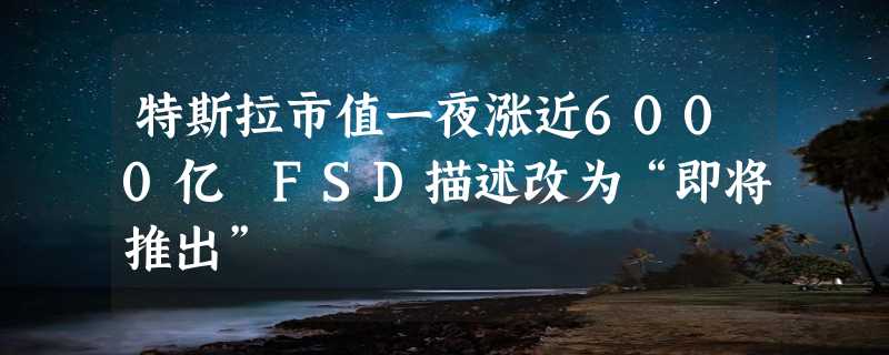 特斯拉市值一夜涨近6000亿 FSD描述改为“即将推出”