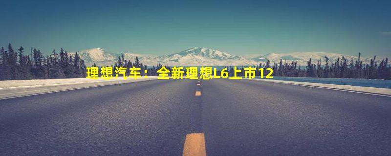 理想汽车：全新理想L6上市12天 累计定单突破20000台