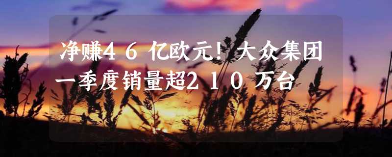 净赚46亿欧元！大众集团一季度销量超210万台