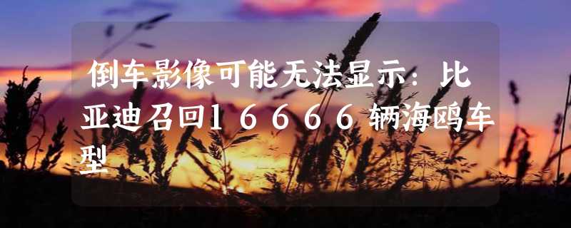 倒车影像可能无法显示：比亚迪召回16666辆海鸥车型