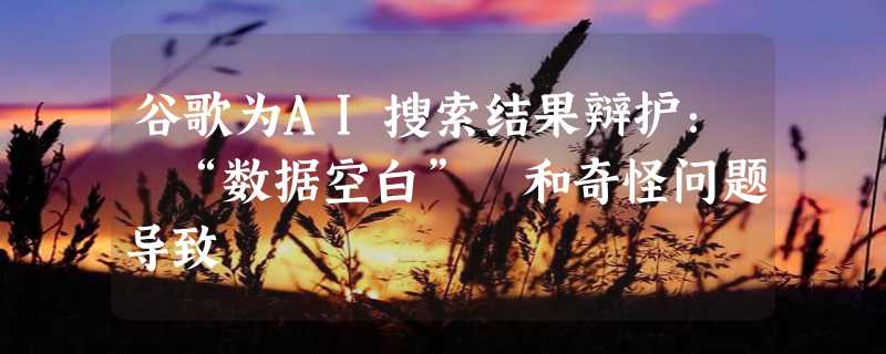 谷歌为AI搜索结果辩护： “数据空白” 和奇怪问题导致