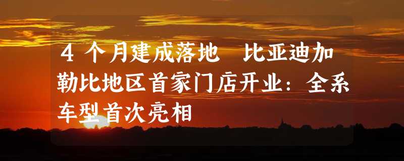 4个月建成落地 比亚迪加勒比地区首家门店开业：全系车型首次亮相