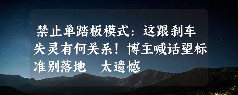 禁止单踏板模式：这跟刹车失灵有何关系！博主喊话望标准别落地 太遗憾