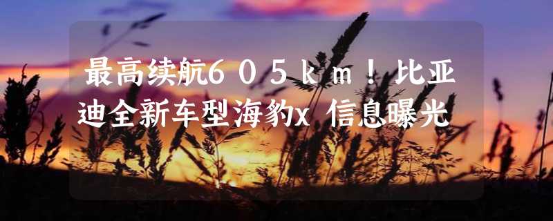 最高续航605km！比亚迪全新车型海豹x信息曝光