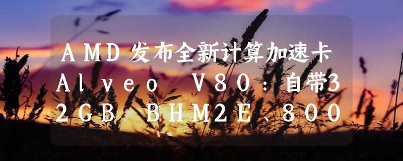 AMD发布全新计算加速卡Alveo V80：自带32GB BHM2E、800G网络