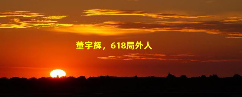 董宇辉，618局外人