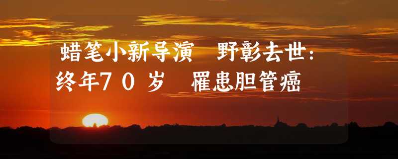 蜡笔小新导演鴫野彰去世：终年70岁 罹患胆管癌